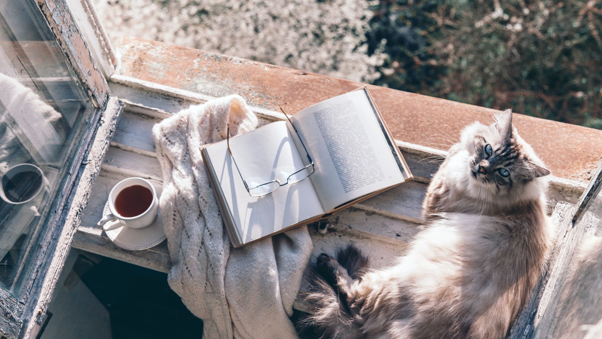 Toimiva koti - opas kodin järjestyksen parantamiseen